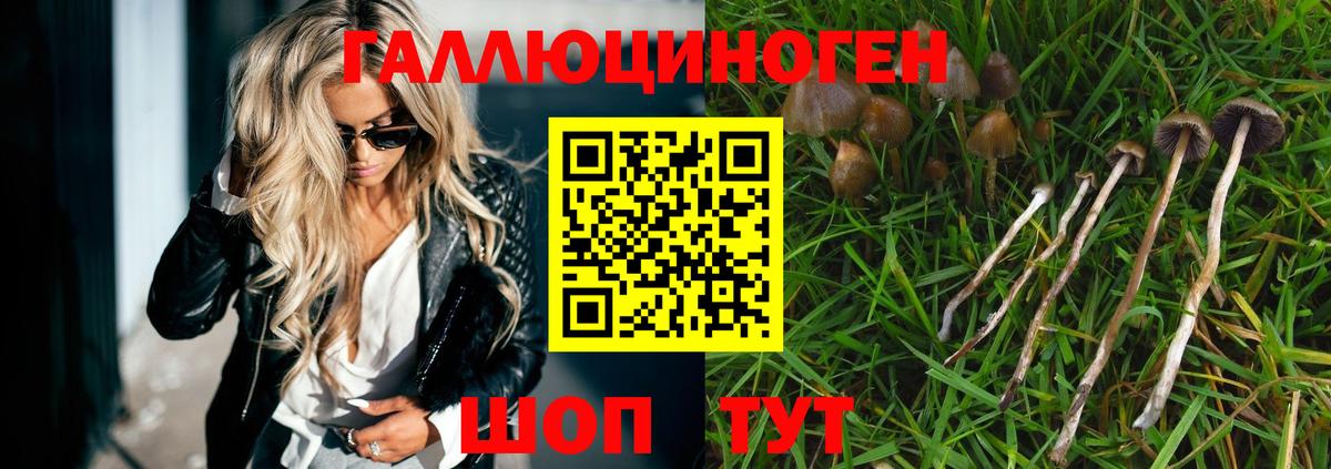 Псилоцибиновые грибы Magic Shrooms  Псилоцибиновые грибы Magic Shrooms  Ирбит  Вход с VPN 