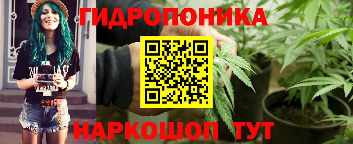 Шишки марихуана сатива Ирбит